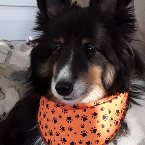 Fundraising Page: Deb Dunstan